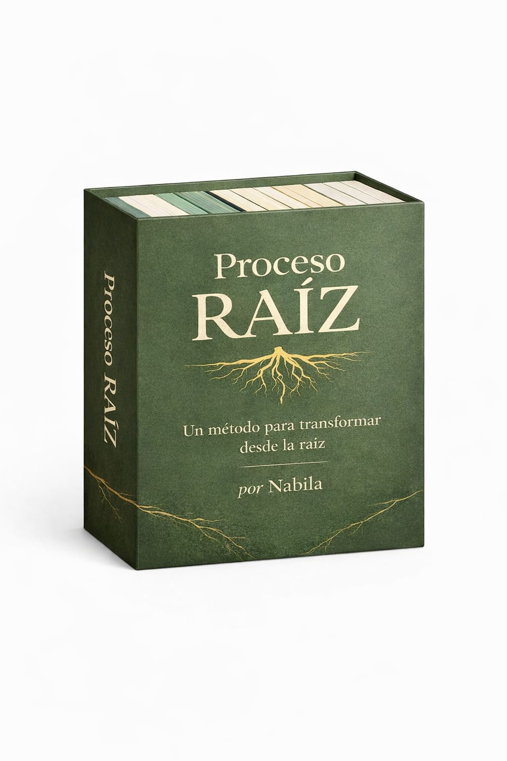 PROCESO  RAIZ - PROCESO DE 30 DIAS INCLUYE 6 E-BOOKS MAS  GUIA /SOSTEN